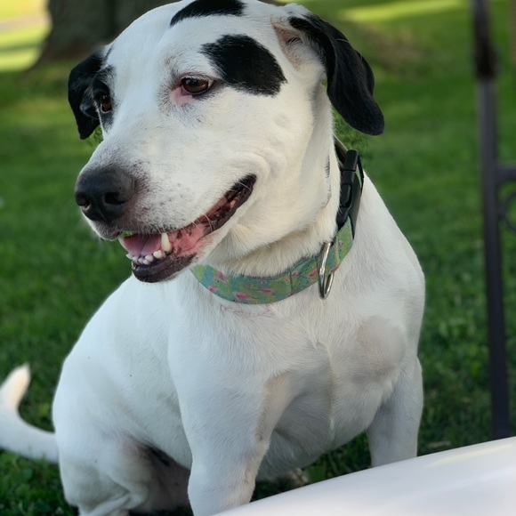 Meet The Posher! - Picture 16 of 16